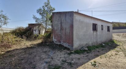 House T2 in Rio Maior of 42 m²