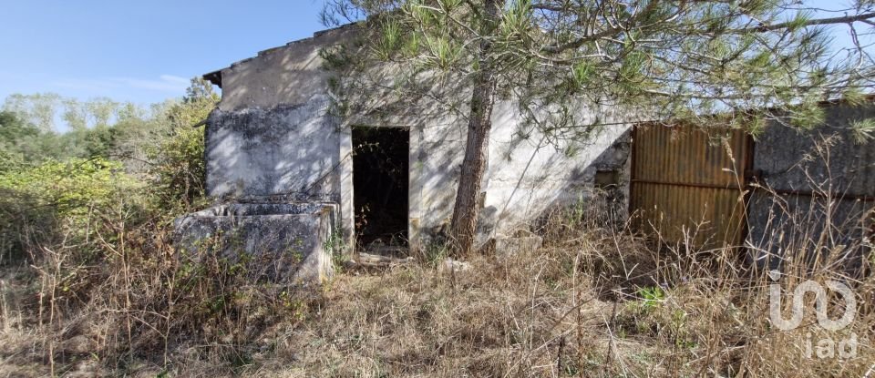 Moradia T2 em Rio Maior de 42 m²