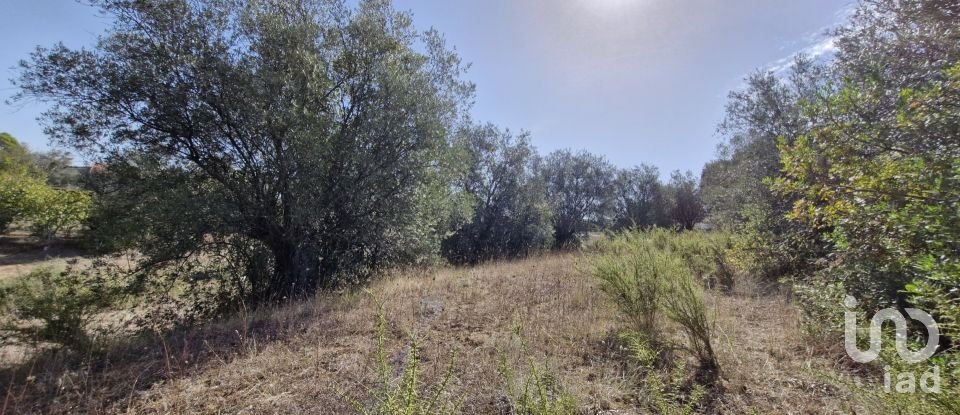 Moradia T2 em Rio Maior de 42 m²