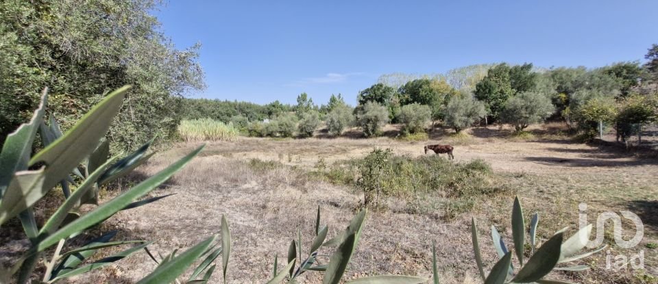 Moradia T2 em Rio Maior de 42 m²