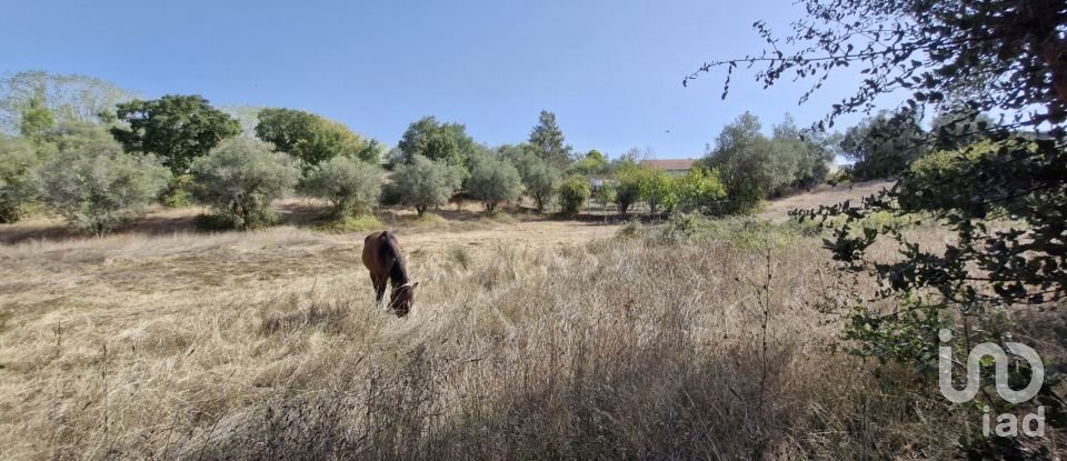 Moradia T2 em Rio Maior de 42 m²