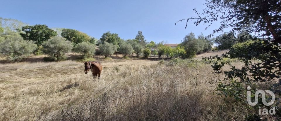 Moradia T2 em Rio Maior de 42 m²