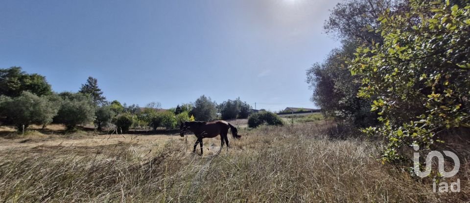 Moradia T2 em Rio Maior de 42 m²