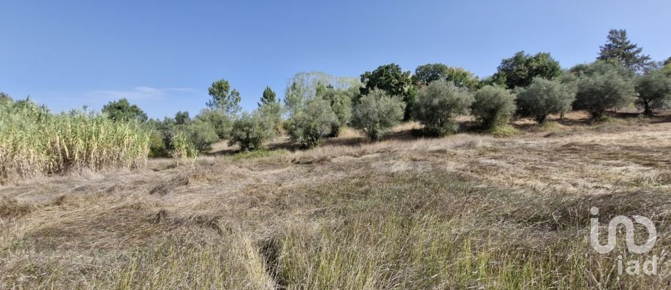 Moradia T2 em Rio Maior de 42 m²