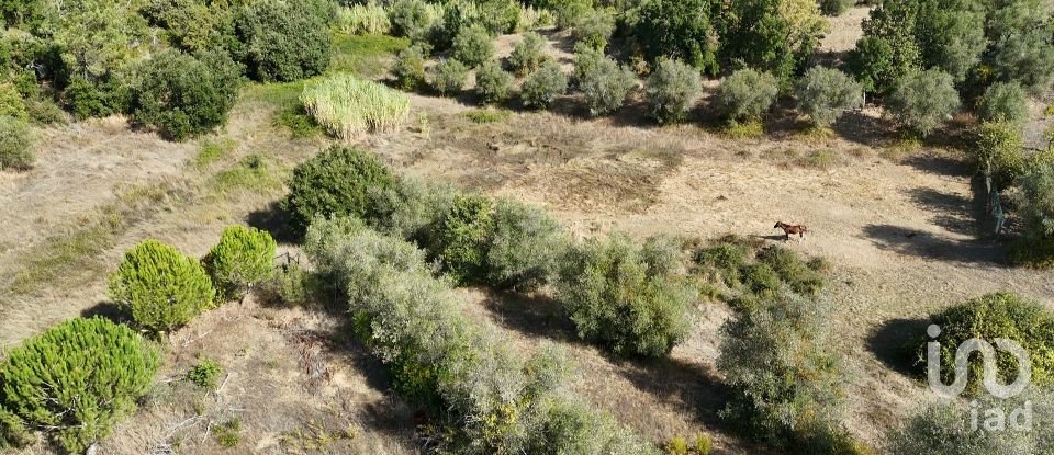 Moradia T2 em Rio Maior de 42 m²