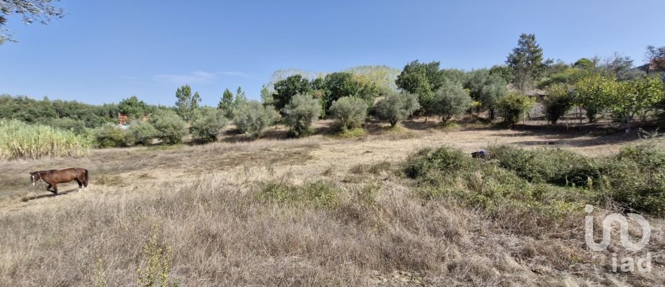 Moradia T2 em Rio Maior de 42 m²