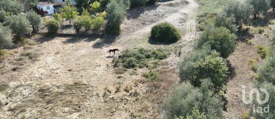 Moradia T2 em Rio Maior de 42 m²