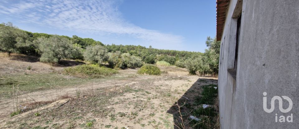 Moradia T2 em Rio Maior de 42 m²