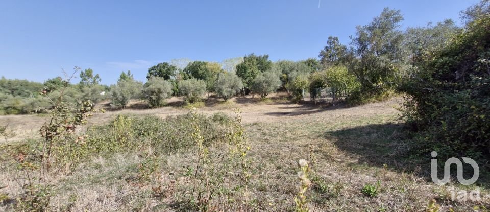 Moradia T2 em Rio Maior de 42 m²