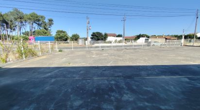 Hangar à Aveiras de Baixo de 210 m²