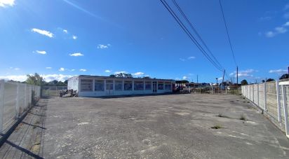 Hangar à Aveiras de Baixo de 210 m²