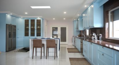 Maison T7 à Oliveira do Bairro de 850 m²