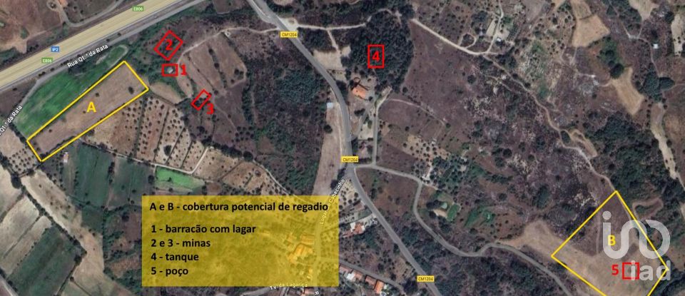 Terrain agricole à Peraboa de 130 000 m²