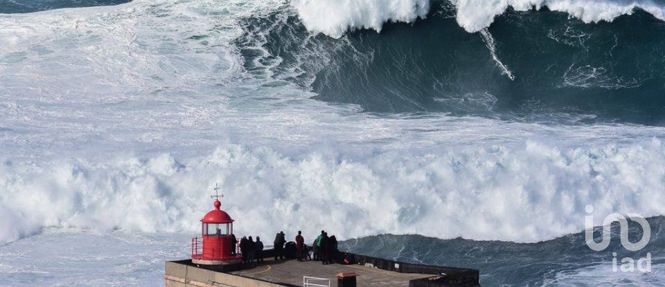 Single story home T5 in Vimeiro of 370 m²