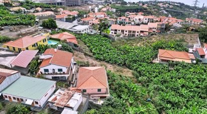 Terrain agricole à São Martinho de 520 m²