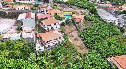 Terrain agricole à São Martinho de 520 m²
