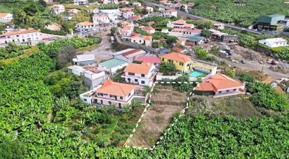 Terrain agricole à São Martinho de 520 m²