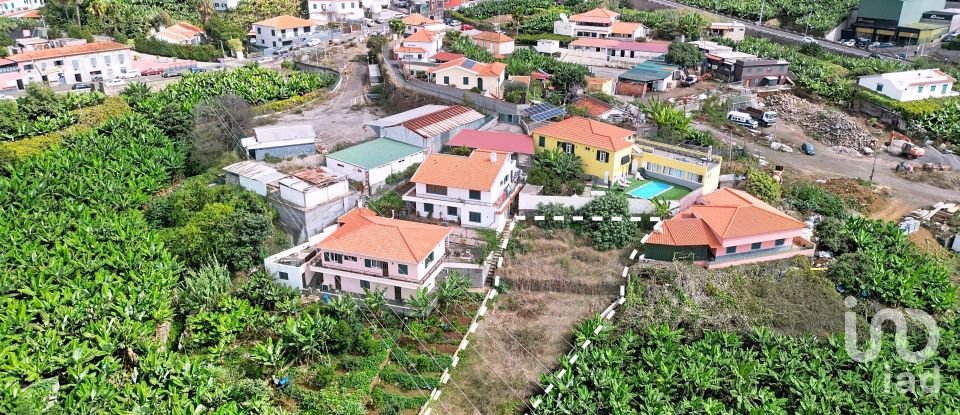 Terreno rústico em São Martinho de 520 m²