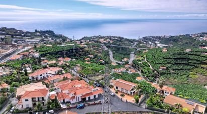 Terrain agricole à São Martinho de 520 m²