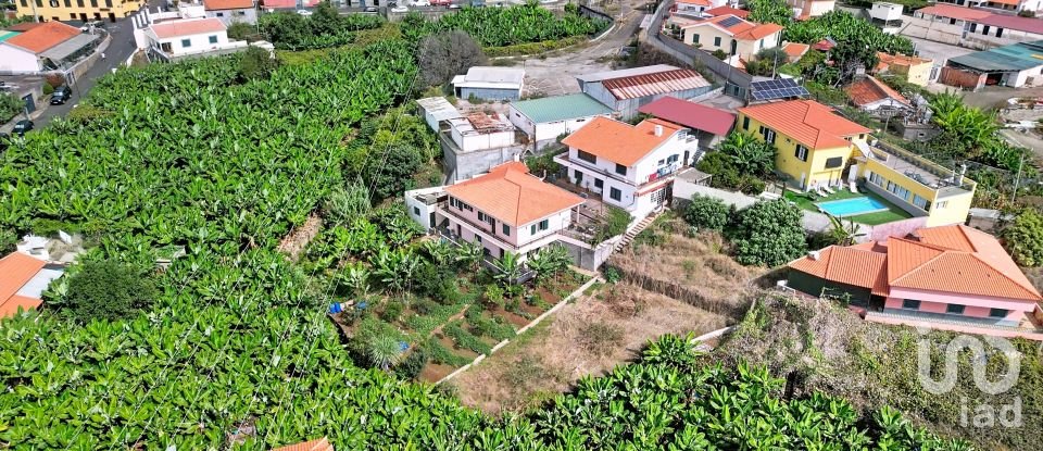 Terreno rústico em São Martinho de 520 m²