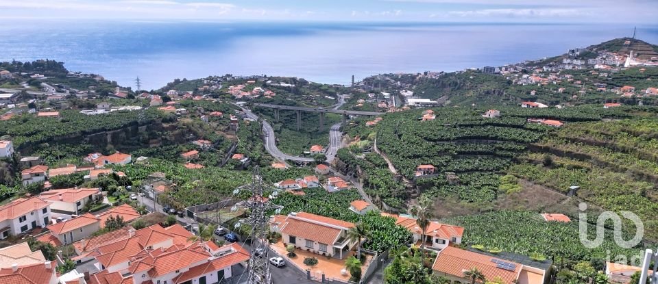 Terreno rústico em São Martinho de 520 m²