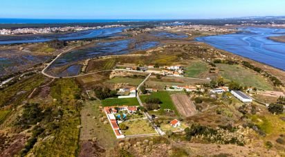Ferme T4 à Ovar, São João, Arada e São Vicente de Pereira Jusã de 280 m²