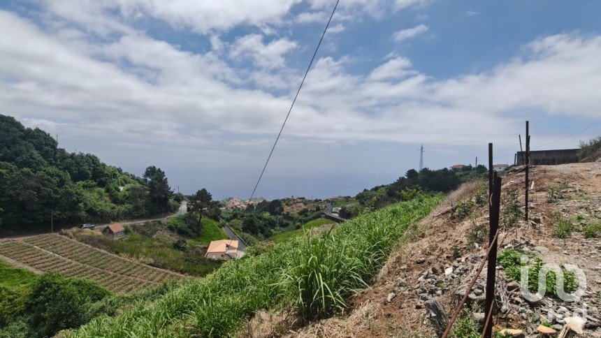 Moradia T3 em Canhas de 248 m²