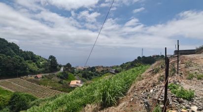 House T3 in Canhas of 248 m²