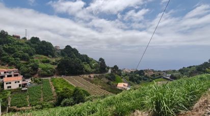 House T3 in Canhas of 248 m²