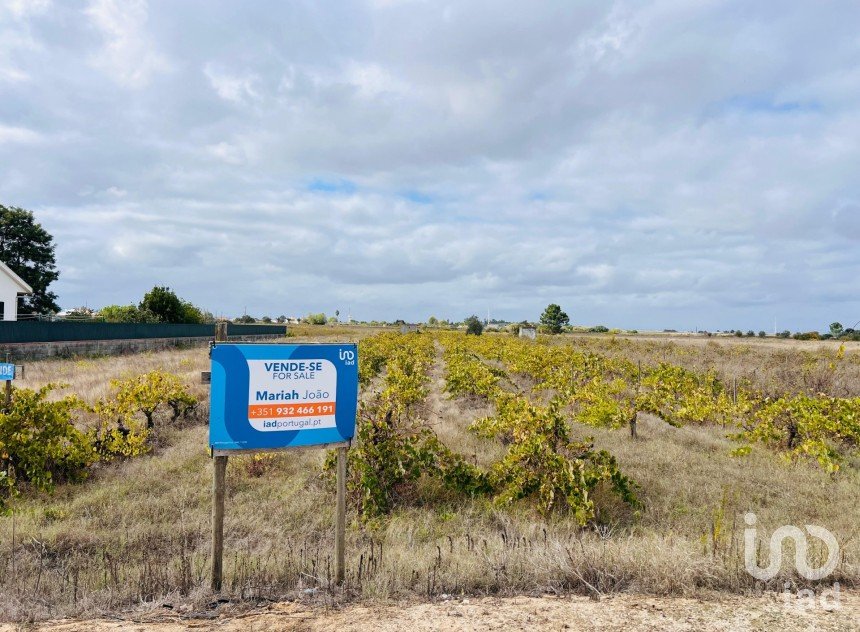 Terreno em Alpiarça de 8 080 m²