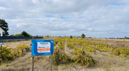 Terrain à Alpiarça de 8 080 m²