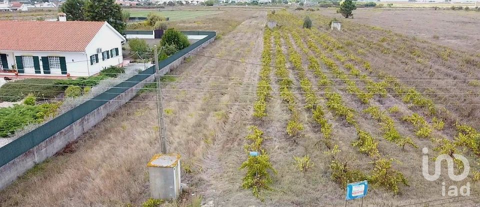 Terreno em Alpiarça de 8 080 m²