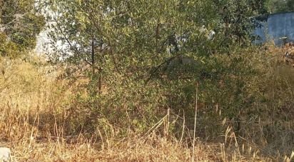 Maison T2 à São Brás de Alportel de 216 m²