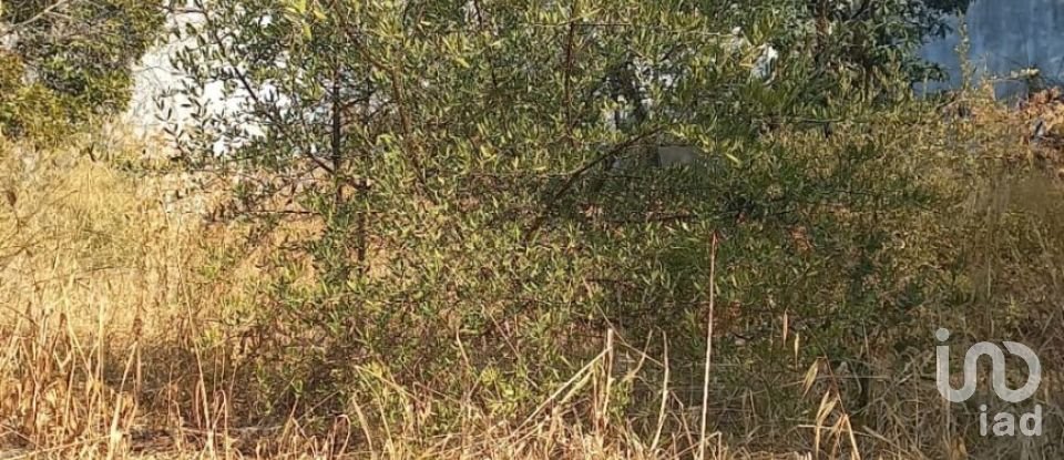 Moradia T2 em São Brás de Alportel de 216 m²