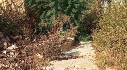 Maison T2 à São Brás de Alportel de 216 m²