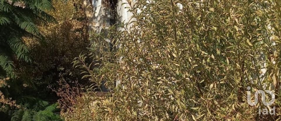 Moradia T2 em São Brás de Alportel de 216 m²