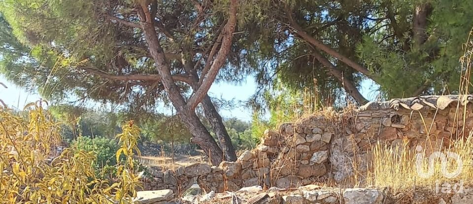 Moradia T2 em São Brás de Alportel de 216 m²