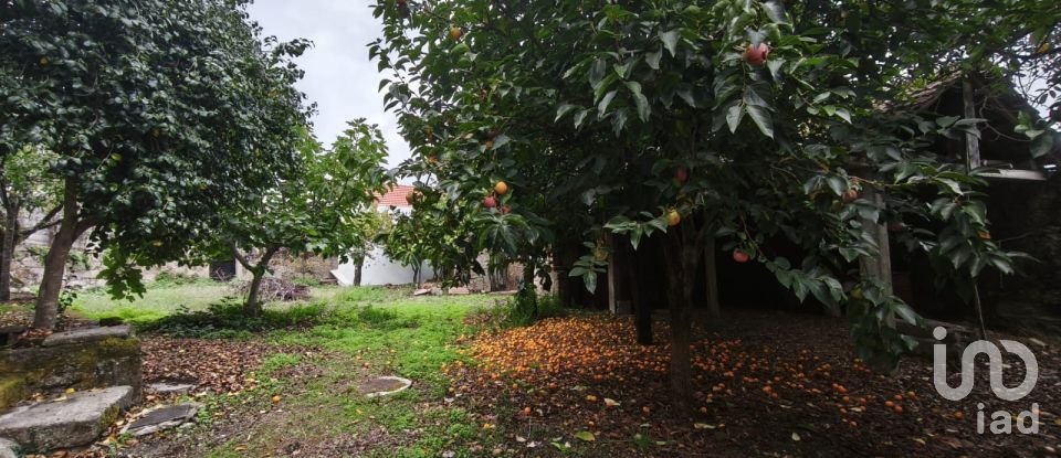 Maison rustique T5 à Travanca de Lagos de 620 m²