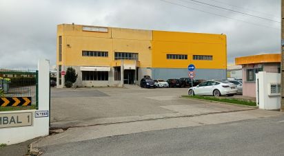 Restaurant à São João das Lampas e Terrugem de 360 m²