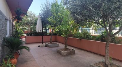 Maison de ville T4 à Mogadouro, Valverde, Vale de Porco e Vilar de Rei de 158 m²