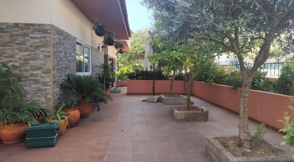 Maison de ville T4 à Mogadouro, Valverde, Vale de Porco e Vilar de Rei de 158 m²