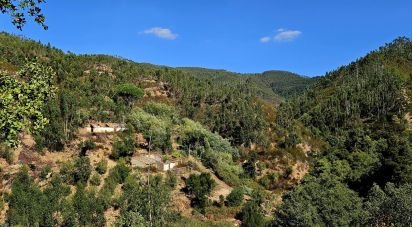 Terrain mixte à Monchique de 22 800 m²