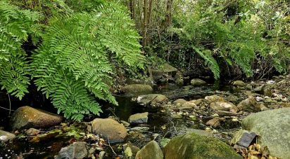 Terrain mixte à Monchique de 22 800 m²