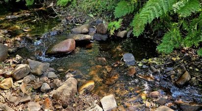 Terrain mixte à Monchique de 22 800 m²