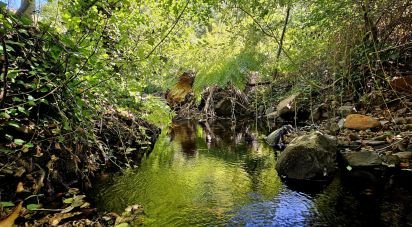 Terrain mixte à Monchique de 22 800 m²