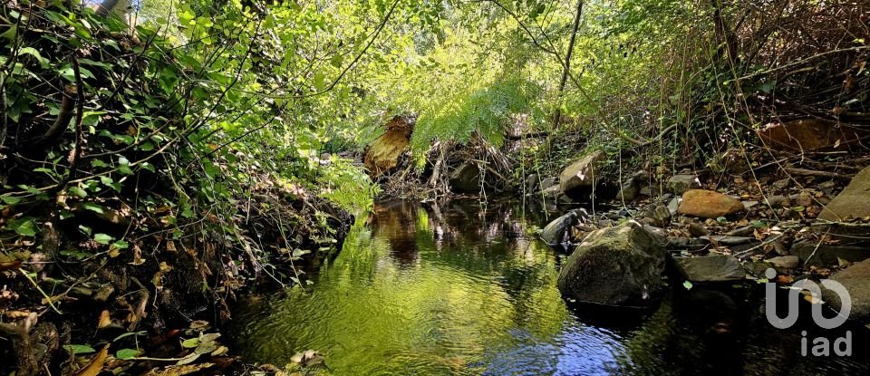 Terreno misto em Monchique de 22 800 m²