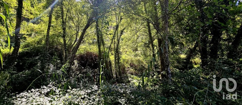 Terreno misto em Monchique de 22 800 m²