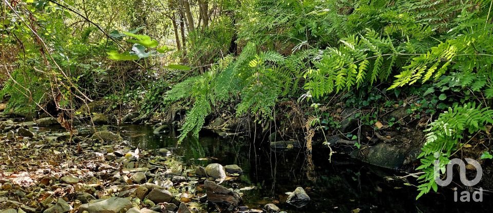 Terreno misto em Monchique de 22 800 m²