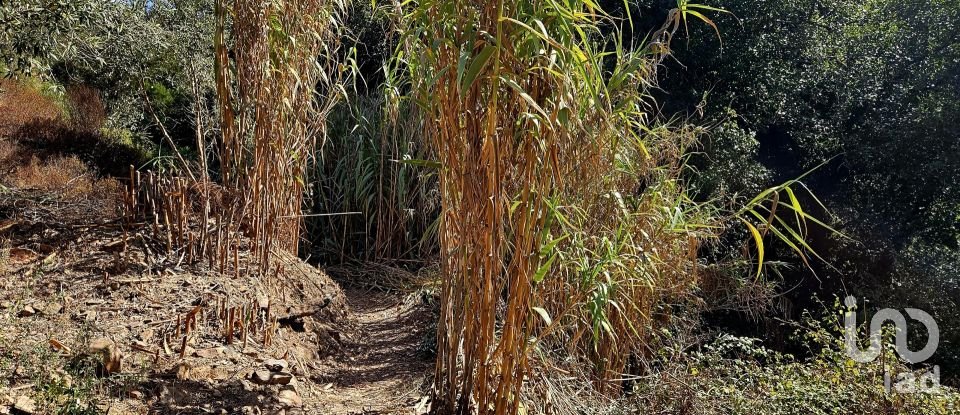 Terreno misto em Monchique de 22 800 m²