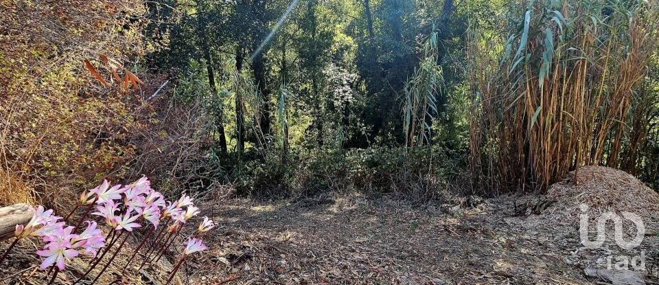 Terreno misto em Monchique de 22 800 m²